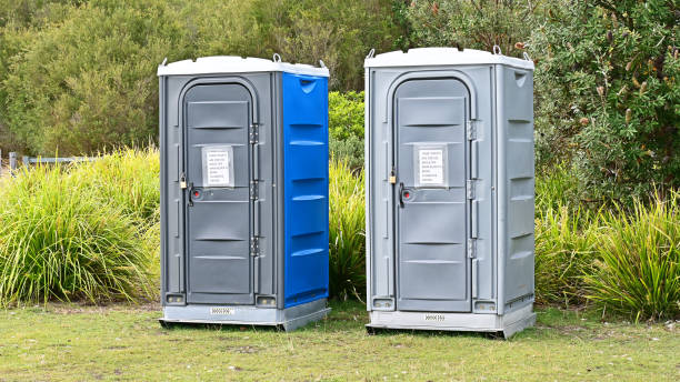 Best Portable Toilets with Baby Changing Stations  in Alanes Ridge, CA